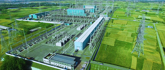 1647526952356905.jpg 1全景绿色2.jpg