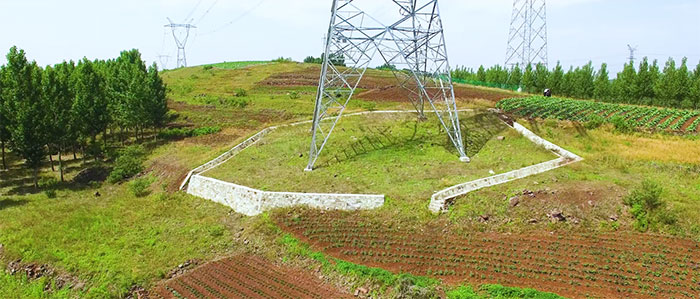 1647527014114270.jpg 4塔基.jpg