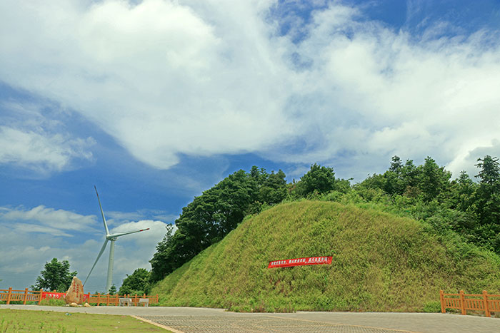 1647527314729819.jpg 3.jpg