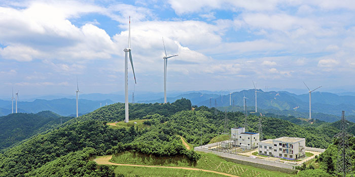 1647527327125872.jpg 4总览图.jpg