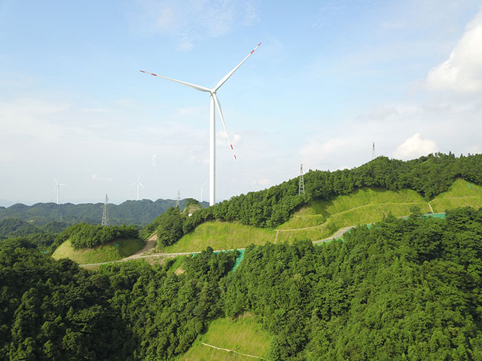 1647527352545083.jpg 5上下边坡挂网喷播.jpg