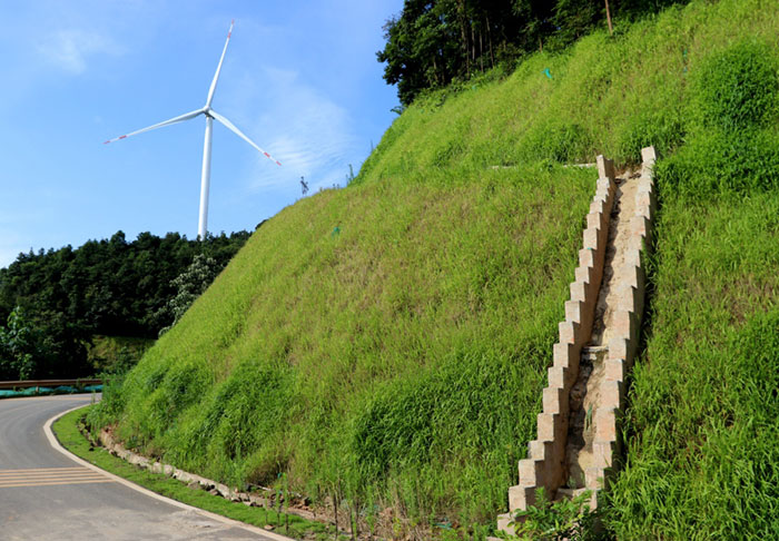 1647527384628780.jpg 7截排水沟+挂网喷播.jpg