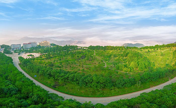 1647528597962707.jpg 2紫金山植物园(绿+蓝天).jpg