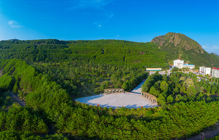 1647528636614278.jpg 4植物园边坡.jpg