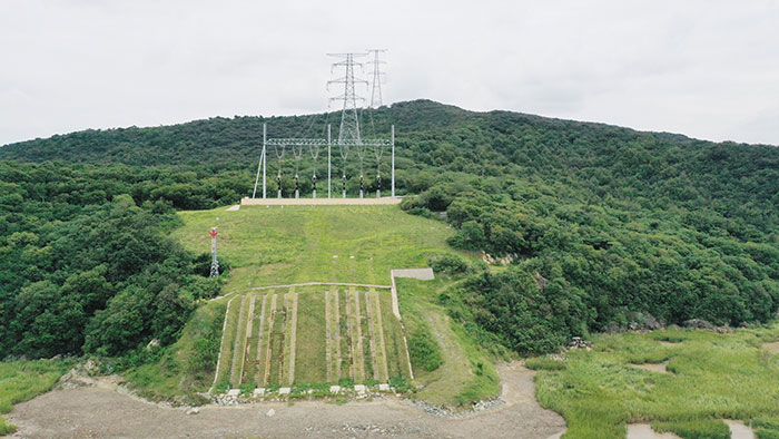 2完成全国首个输变电工程海岸线生态化修复项目，打造近自然海岛基岩生态岸线.jpg