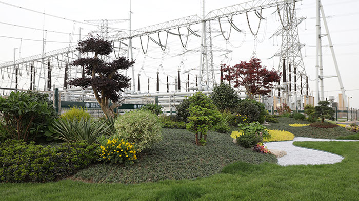 4绿化采用专业设计、专业施工、科学绿化，打造花园式变电站.jpg