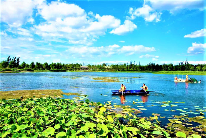 1647530232966751.jpg 图片1.jpg