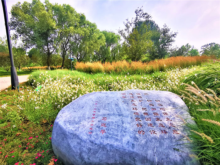 1647530257101748.jpg 图片4.jpg