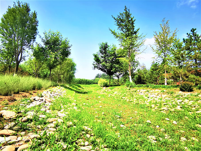 1647530266234781.jpg 图片5.jpg