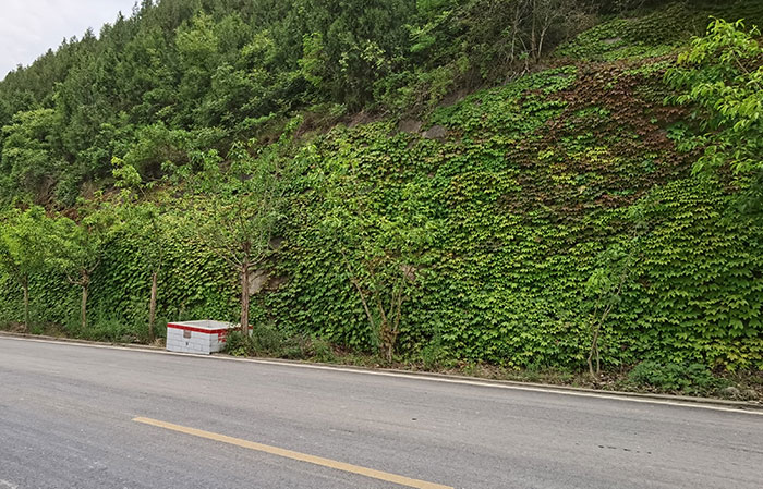 7场内公路垂挂边坡.jpg