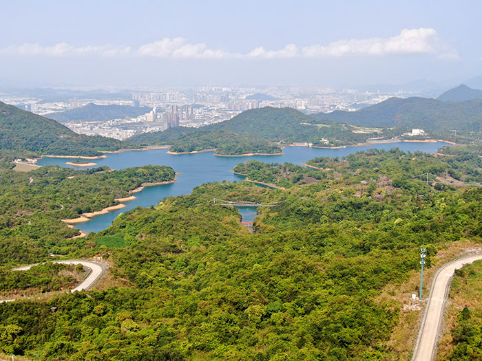 1647704214264645.jpg 5.jpg