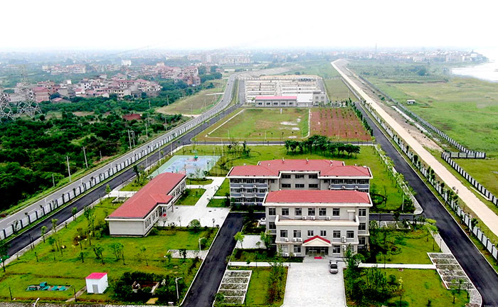 1647704423119456.jpg 1管理区绿化.jpg