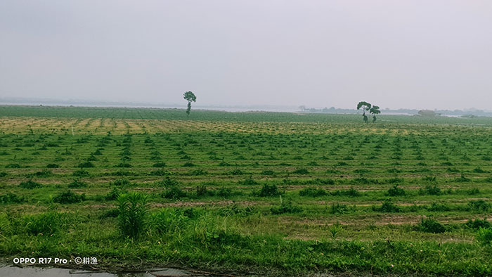 1647704476479976.jpg 4抬田区复耕.jpg