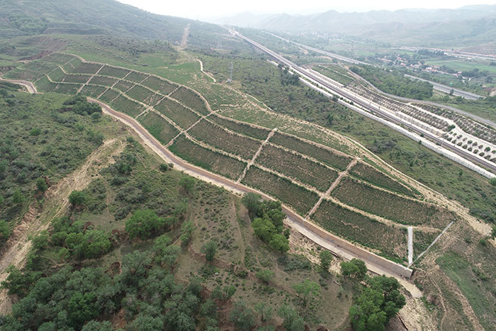 1647705531246356.jpg 1五道洼弃土场.jpg