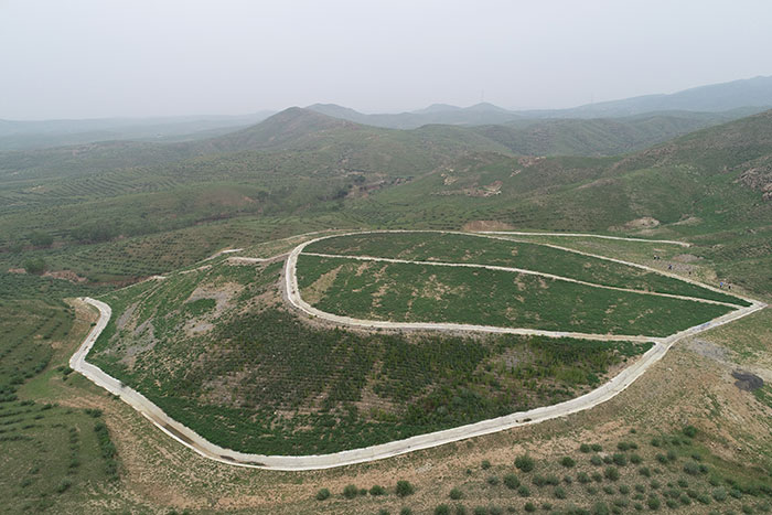 1647705566408931.jpg 3东土村进口弃渣场.jpg