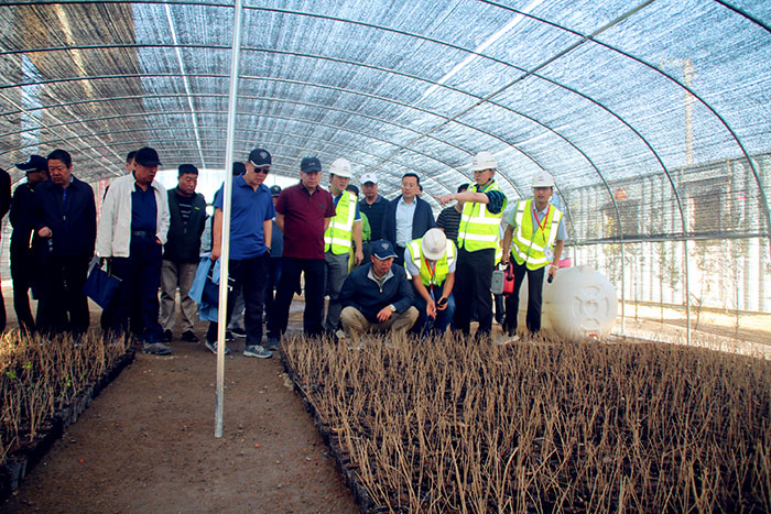 1647705605113375.jpg 5暖棚育苗.jpg