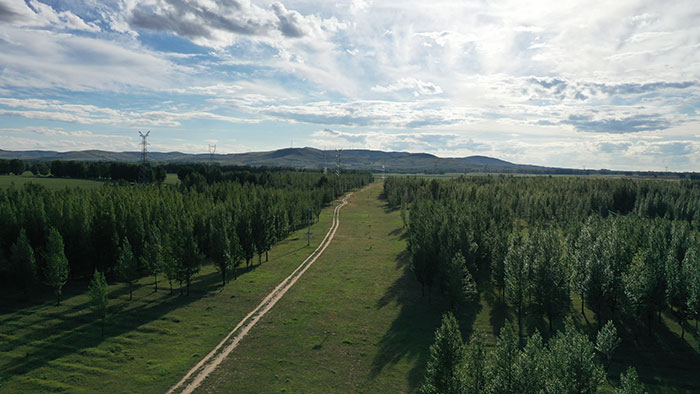 1647708024120187.jpg 1乌兰察布管线作业带恢复1.jpg