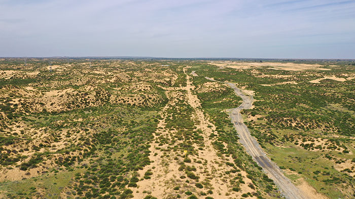 1647708061106718.jpg 3毛乌素沙漠管线作业带恢复.jpg