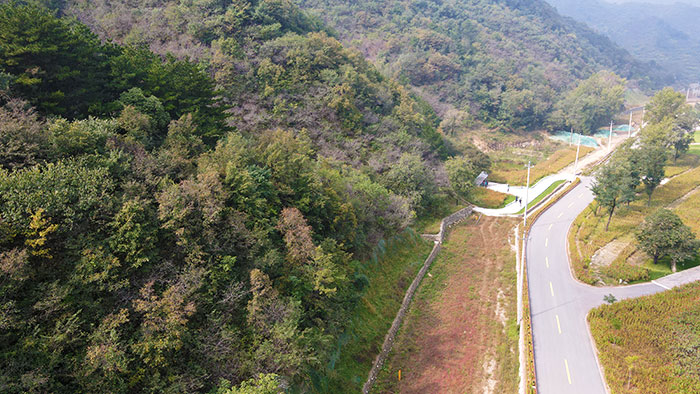 1647708079994851.jpg 4延庆大壮科乡管道作业带美化工程1.jpg