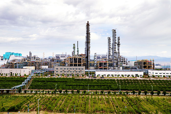 1647708780119619.jpg 2.jpg