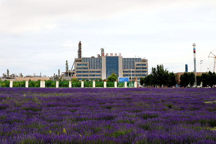 1647708787114524.jpg 3.jpg