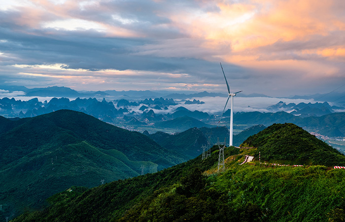 1647873118487980.jpg 1.jpg