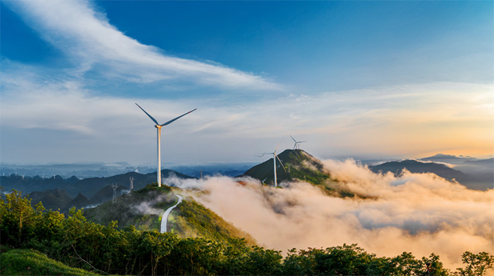 1647873125103160.jpg 3.jpg