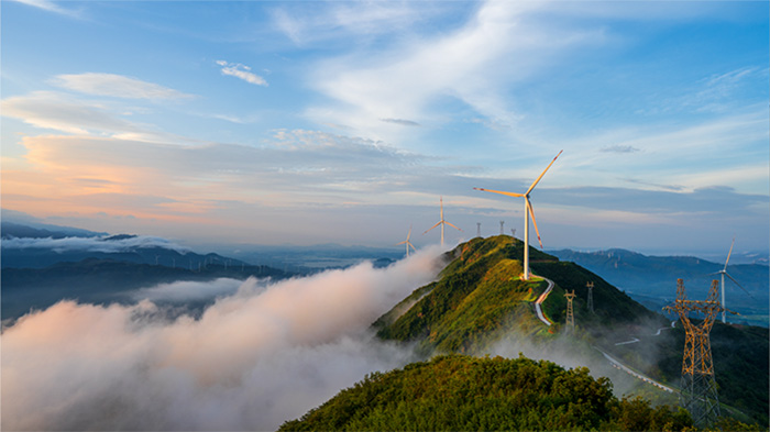 1647873132592676.jpg 4.jpg