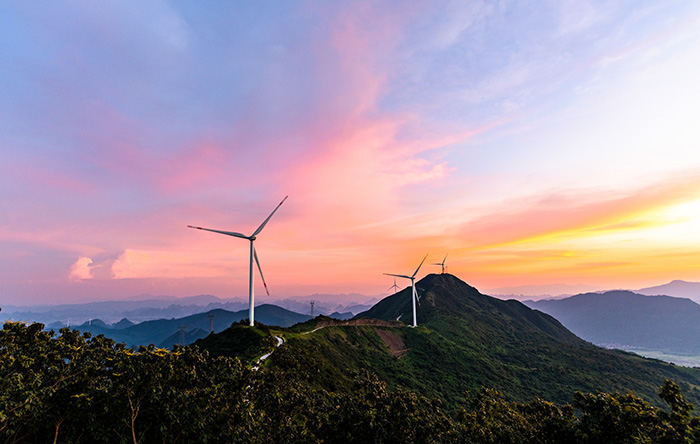 1647873147669961.jpg 6.jpg