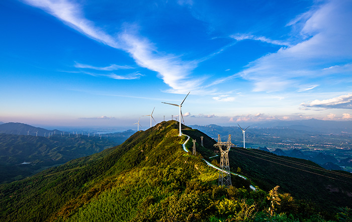 1647873154112738.jpg 7.jpg