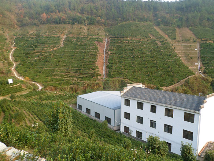 1647925533252854.jpg 补1茶园梯地水土保持综合治理.jpg