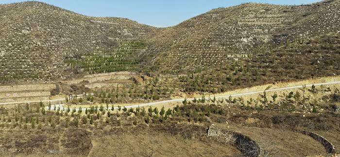 1647929659107798.jpg 6.jpg