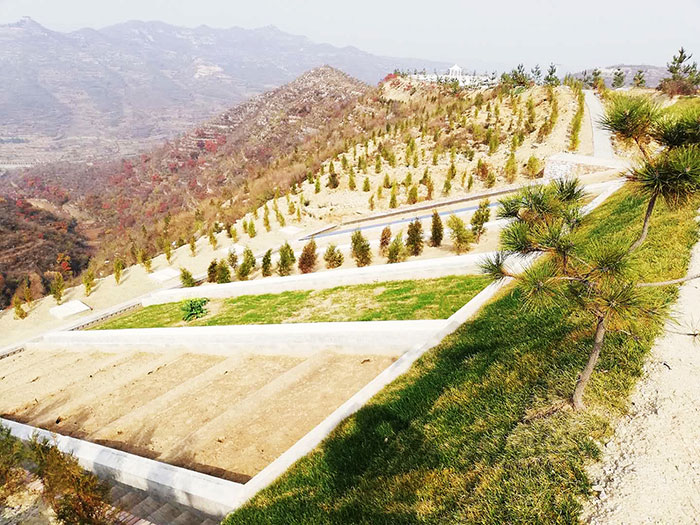 1647929665563286.jpg 4.jpg