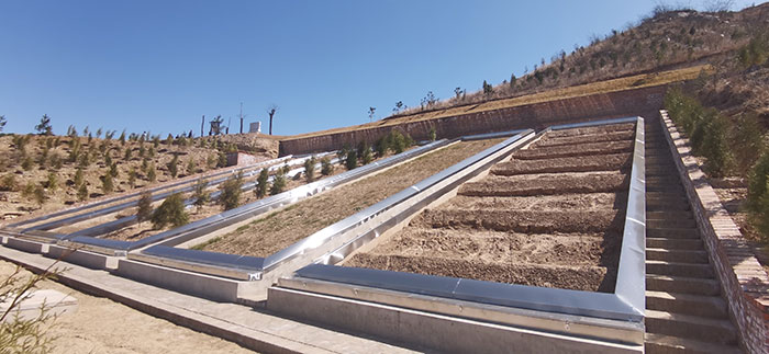 1647929678387458.jpg 5.jpg