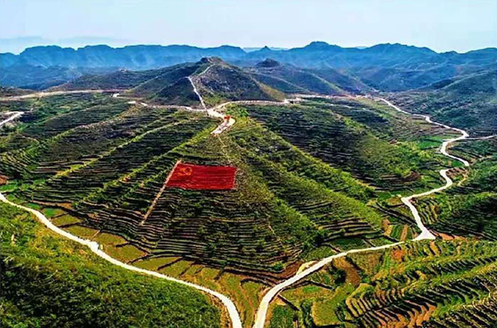 1647929690491422.jpg 1.jpg