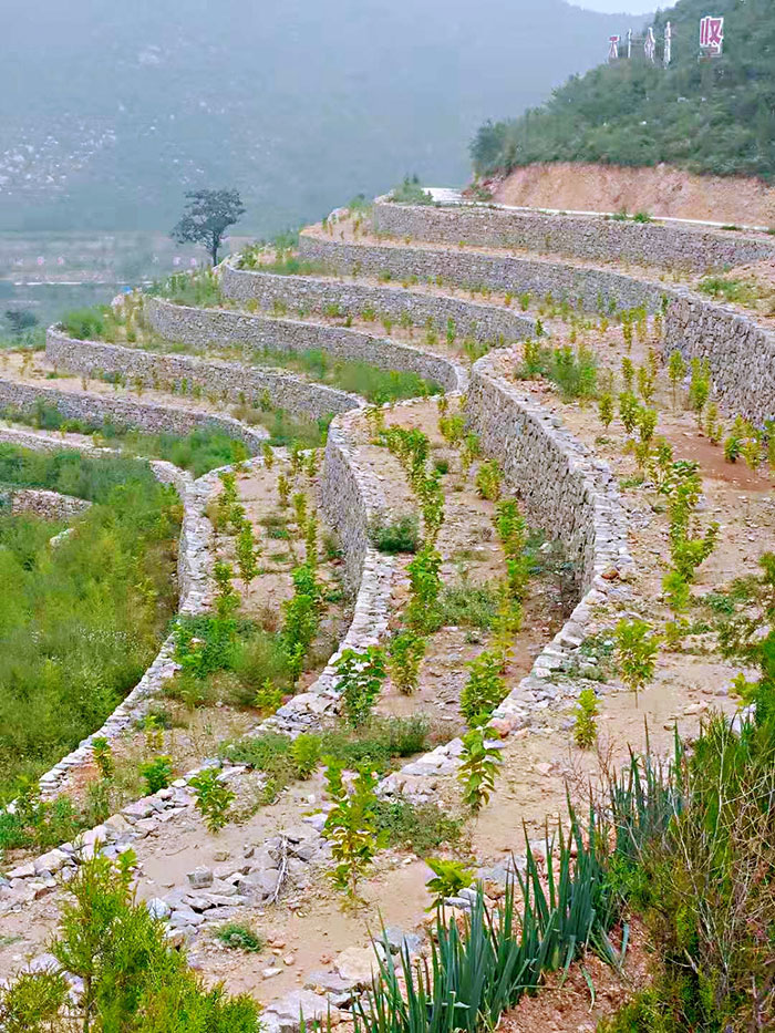 1647929717985685.jpg 3.jpg