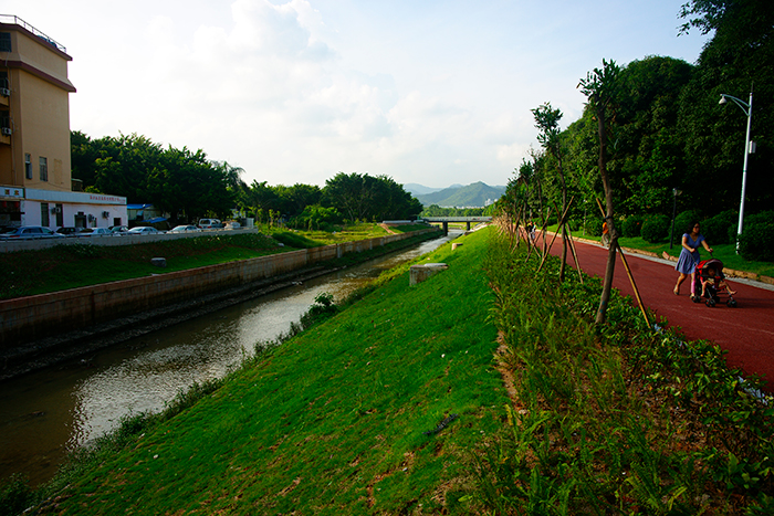 1652754586133019.jpg 4福田河河岸芳草萋萋.jpg