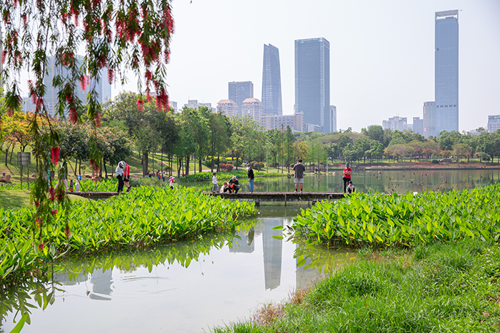 1652754640652792.jpg 7福田河人水和谐.jpg