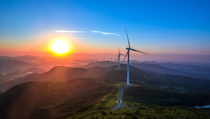 1652754895143252.jpg 1东湖塘:道路和风机平台绿化.jpg