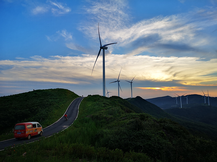 1652754925811837.jpg 2东湖塘:道路绿化.jpg