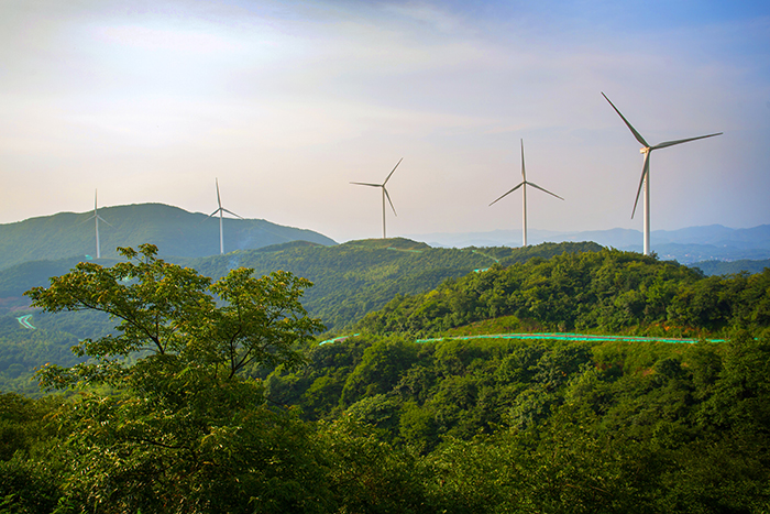 1652754965130153.jpg 3东湖塘:道路绿化远景.jpg