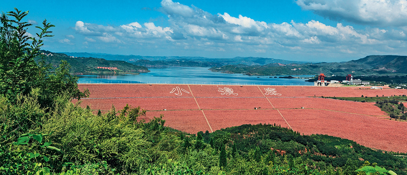 1668765556127645.png 图片4.png