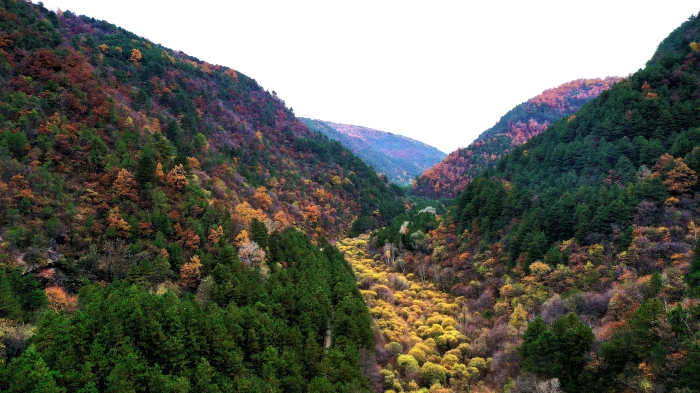秋天森林公园.JPG