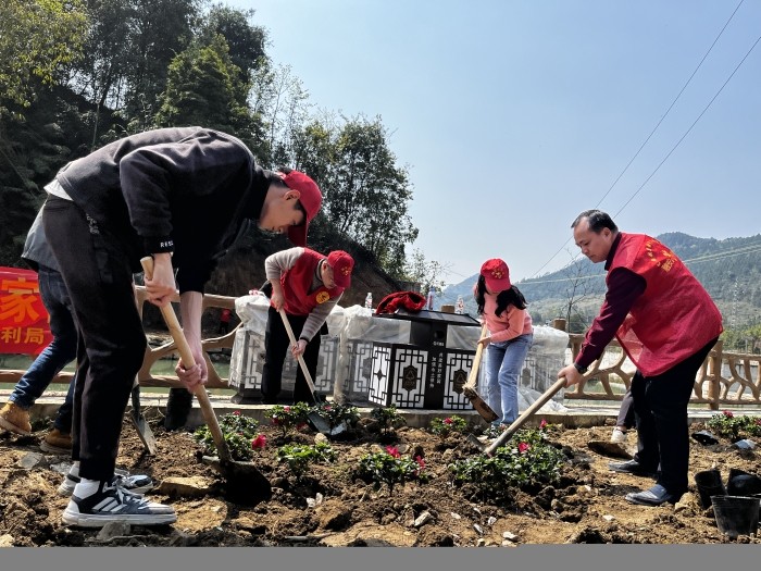 图1：3月12日，在活动现场，参加活动的干部职工和志愿者在种植杜鹃花。.JPG