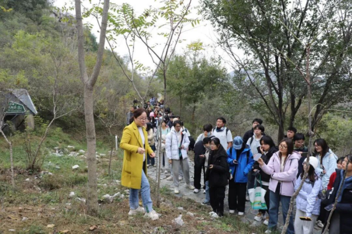 1762332016810589.png 图片1.png