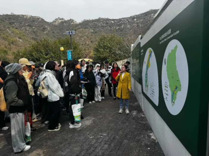 1762332034134732.png 图片2.png