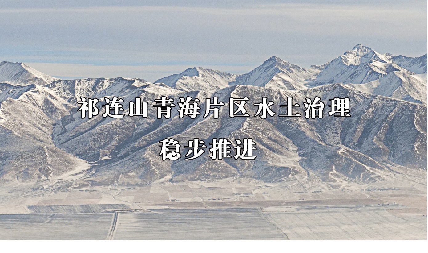 壮丽70年 奋斗新时代｜青海微视频（四）：祁连山青海片区水土治理稳步推进